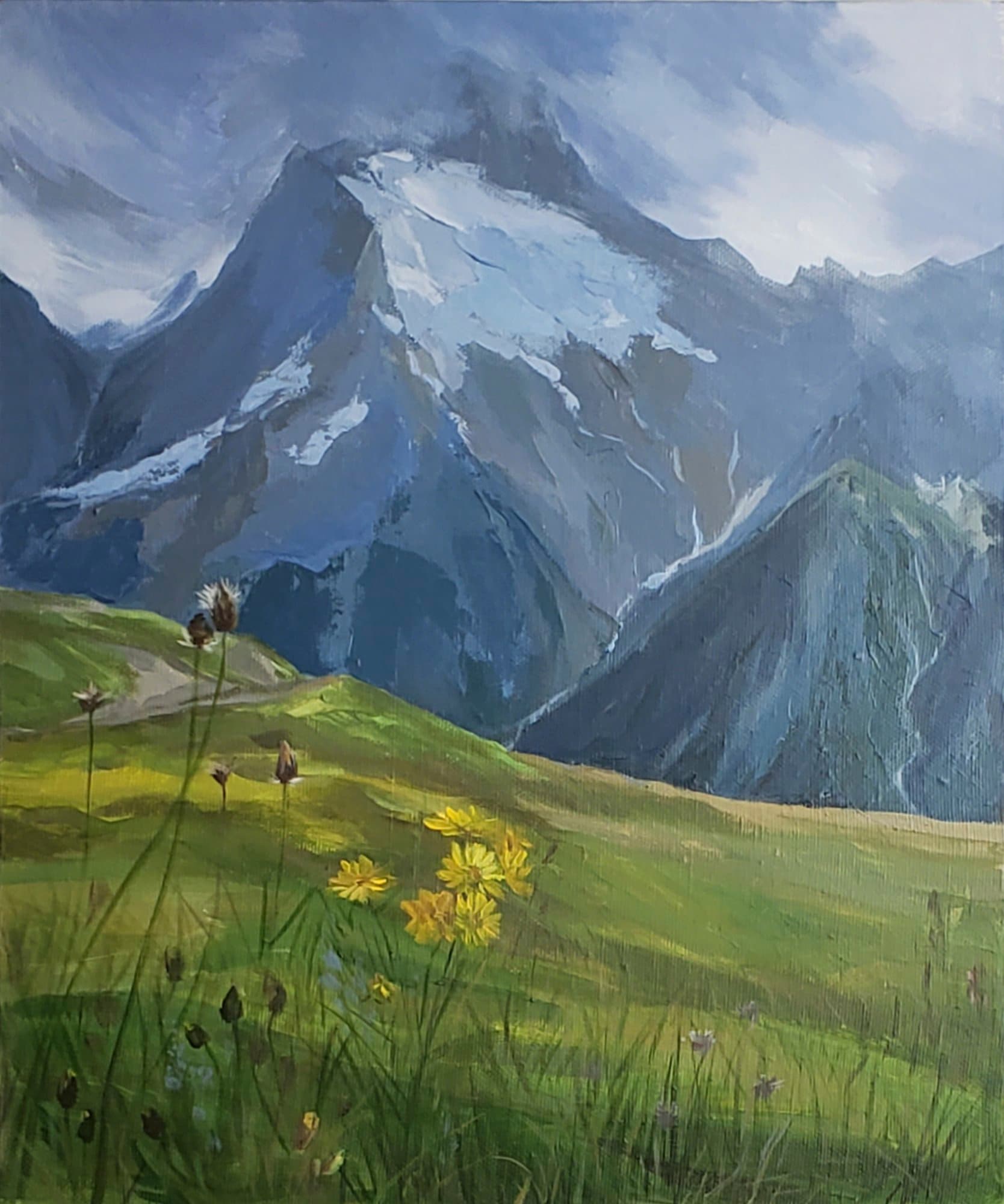 Mountain meadow with flowers against rocky snow-capped peaks